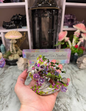 Load image into Gallery viewer, Dragonkin-STEP ONE-Pet Rock Preorder