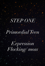 Load image into Gallery viewer, Primordial Teen-STEP ONE-Pet Rock Preorder