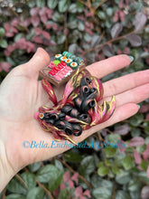 Load image into Gallery viewer, 48 hour Auction-Passions Fire Primordial- curled blep with Sushi Board