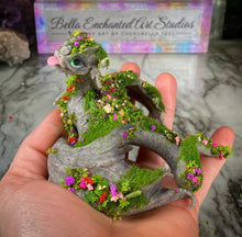 Load image into Gallery viewer, Dragonkin-STEP ONE-Pet Rock Preorder