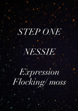 Load image into Gallery viewer, Nessie -STEP ONE -Pet Rock Preorder-