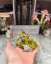 Load image into Gallery viewer, Minkin- STEP ONE- Pet Rock Preorder-