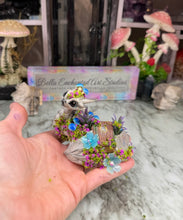 Load image into Gallery viewer, Minkin- STEP ONE- Pet Rock Preorder-