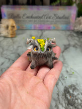 Load image into Gallery viewer, Munchkin- STEP ONE-Pet Rock Preorder
