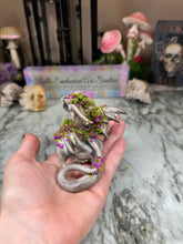 Load image into Gallery viewer, Primordial Dragon-STEP ONE -Pet Rock Preorder-