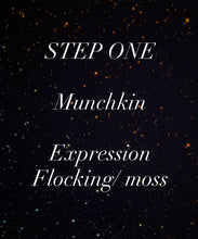 Load image into Gallery viewer, Munchkin- STEP ONE-Pet Rock Preorder