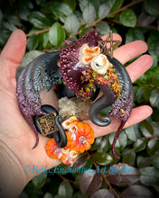 Load image into Gallery viewer, 72 hour auction-Séance-Ghost Whisperer Dragonkin