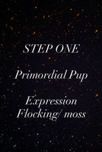 Load image into Gallery viewer, Primordial pup -STEP ONE-Pet Rock Preorder