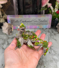 Load image into Gallery viewer, Nessie -STEP ONE -Pet Rock Preorder-