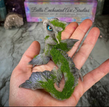 Load image into Gallery viewer, Nessie -STEP ONE -Pet Rock Preorder-