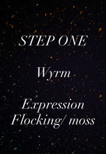 Load image into Gallery viewer, A wyrm Pet Rock Preorder- STEP ONE