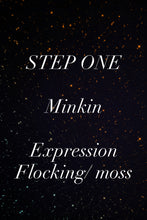 Load image into Gallery viewer, Minkin- STEP ONE- Pet Rock Preorder-