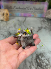 Load image into Gallery viewer, Munchkin- STEP ONE-Pet Rock Preorder