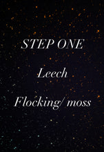 Load image into Gallery viewer, Negativity Leech- STEP ONE-Pet Rock Preorder