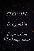 Load image into Gallery viewer, Dragonkin-STEP ONE-Pet Rock Preorder